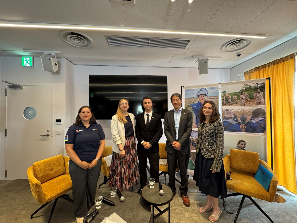 Panel on humanitarian demining in Ukraine